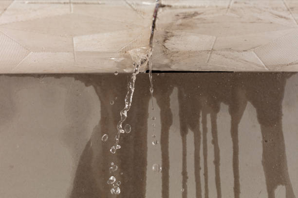 Professional Water Damage Repair technician working in Warminster, PA